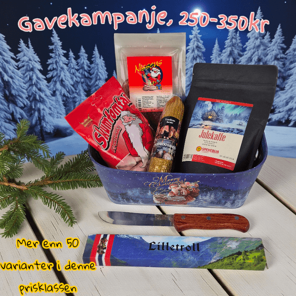 Hovedbilde Gavekampanje 250-350kr #16